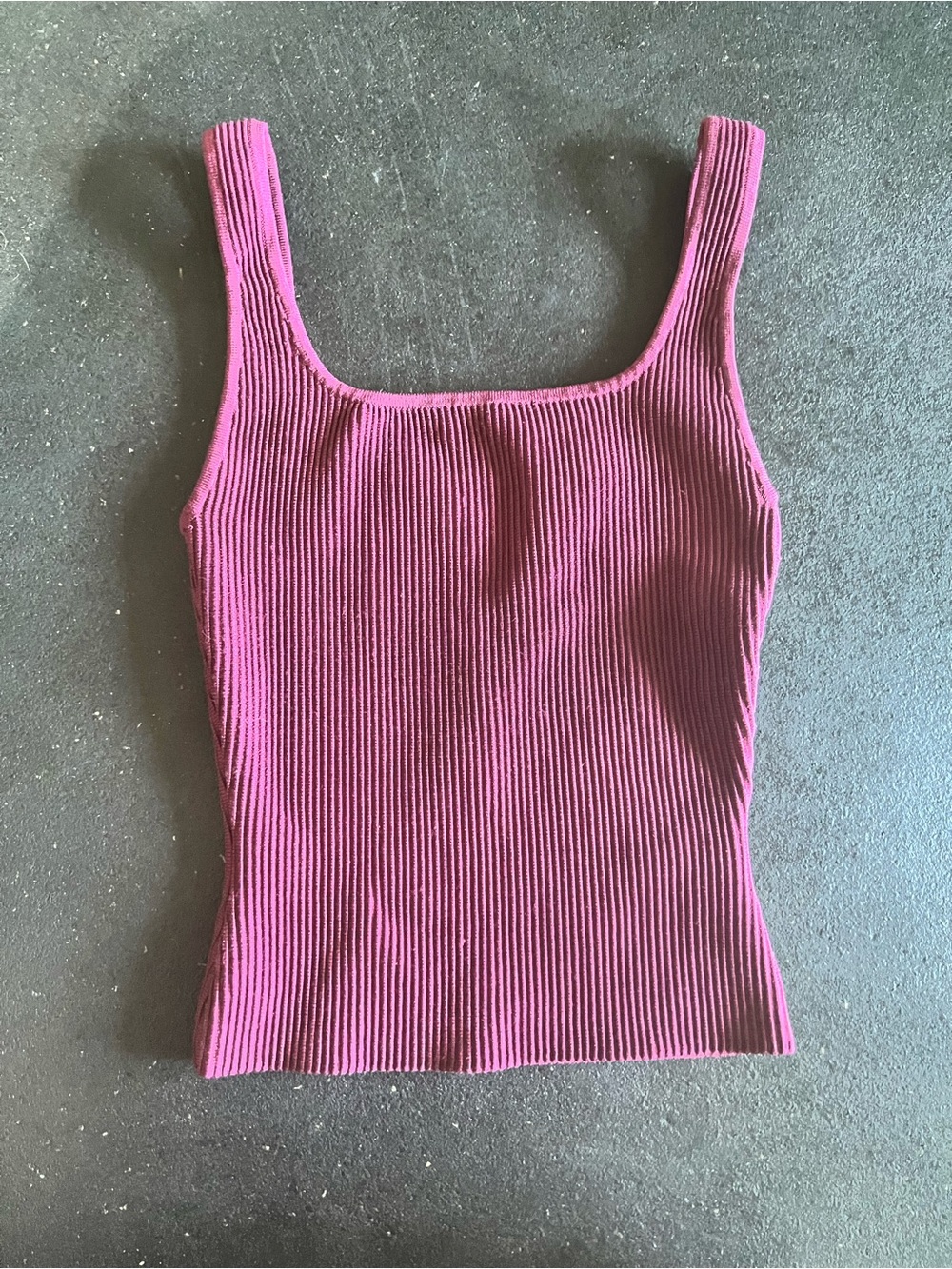 Aritzia babaton sculpt knit tank top